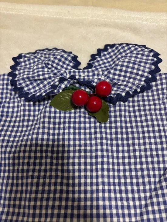 Vintage Blue Gingham Checkered Dress - Picture 2 of 4